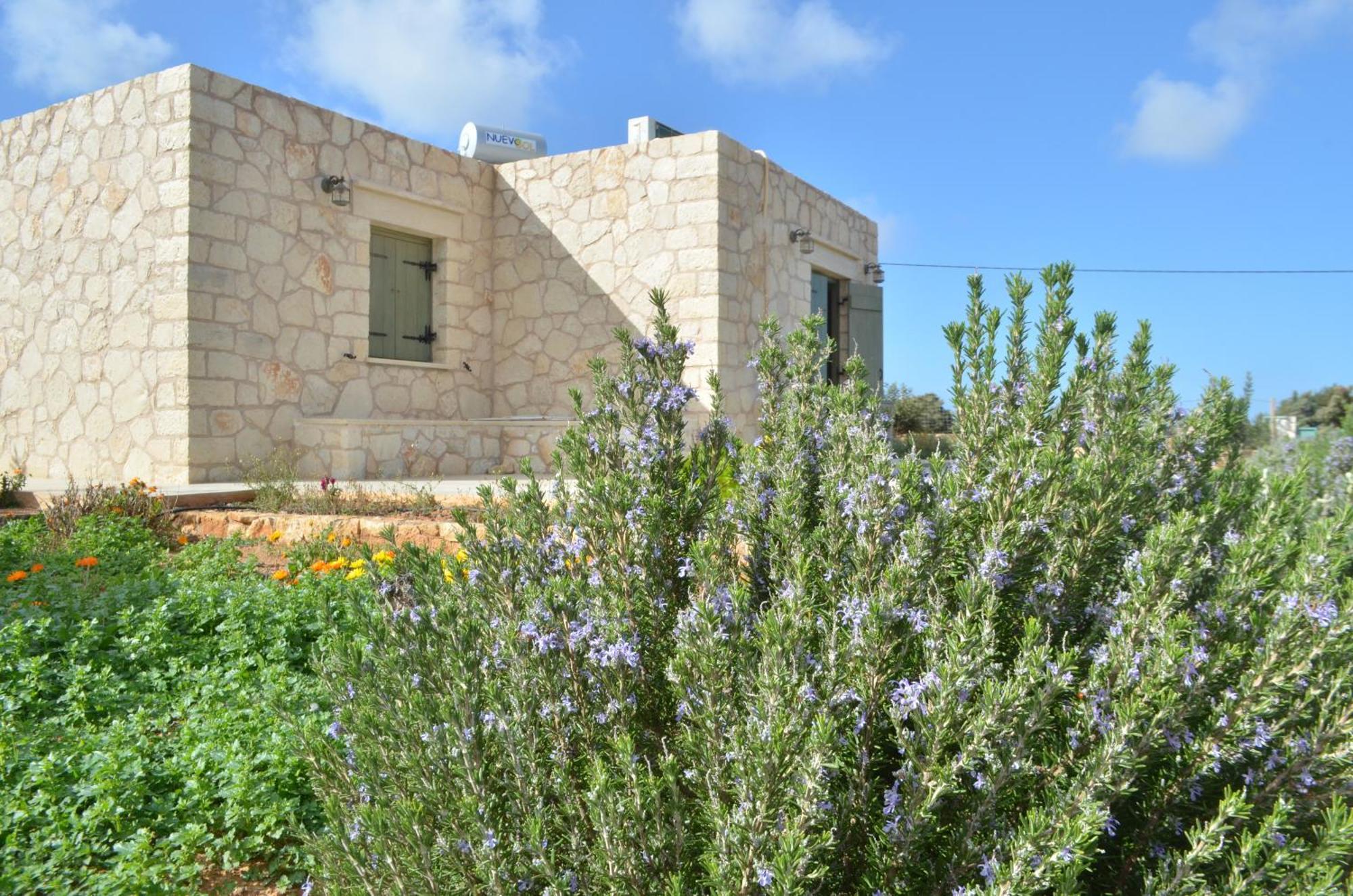 Kalypso Apartments Kastri  Luaran gambar